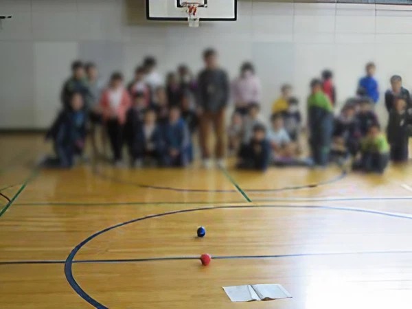 小学校で福祉学習の特別講師2